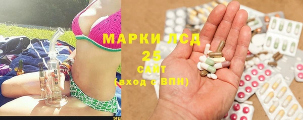 ГАЛЛЮЦИНОГЕННЫЕ ГРИБЫ Баксан